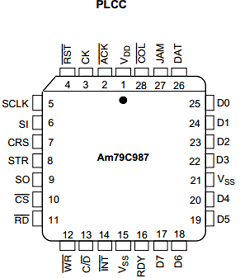 AM79C987 Datasheet PDF Advanced Micro Devices