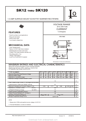 SK120 Datasheet PDF Bytes