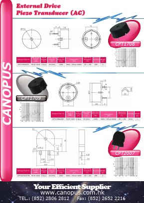 CPT1708C40TP Datasheet PDF Canopus Electronics (H.K.) Ltd.