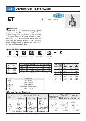 ET106K13-Z Datasheet PDF Copal Electronics