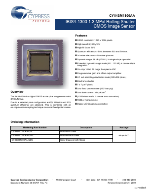 CYII4SM1300AA Datasheet PDF Cypress Semiconductor