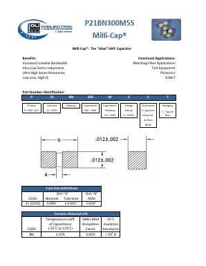 P21BN300M5SS Datasheet PDF ETC