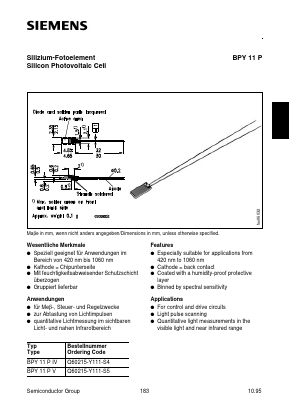 BPY11P Datasheet PDF Infineon Technologies
