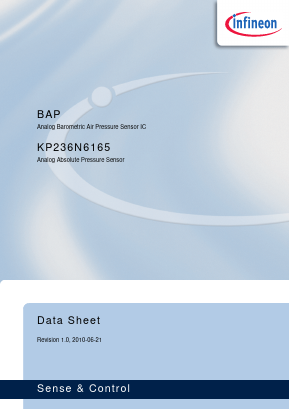 SP000700784 Datasheet PDF Infineon Technologies