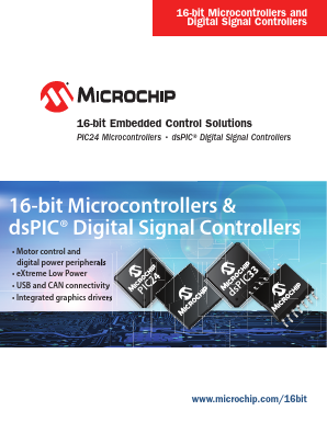RN-131-PICTAIL Datasheet PDF Microchip Technology