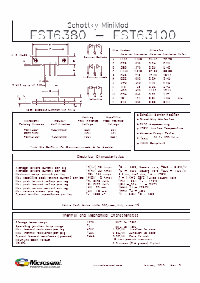 FST6380 Datasheet PDF Microsemi Corporation