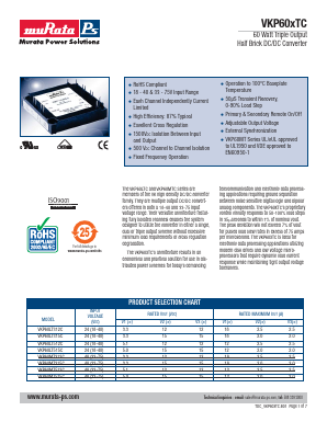 VKP60LT312C Datasheet PDF Murata Power Solutions