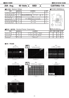C20T06Q-11A Datasheet PDF National Instruments Corporation