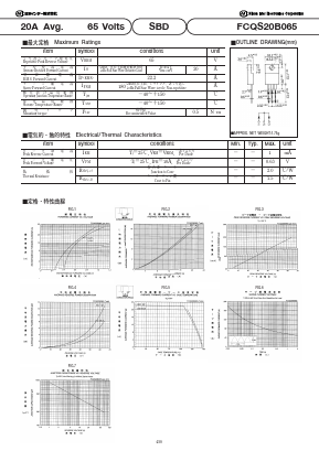 FCQS20B065 Datasheet PDF Nihon Inter Electronics