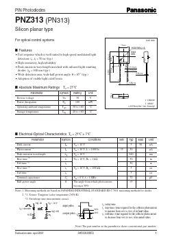 PN313 Datasheet PDF Panasonic Corporation