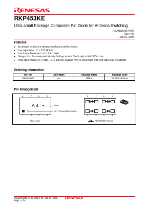 RKP453KE Datasheet PDF Renesas Electronics