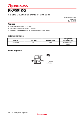 RKV501KG Datasheet PDF Renesas Electronics