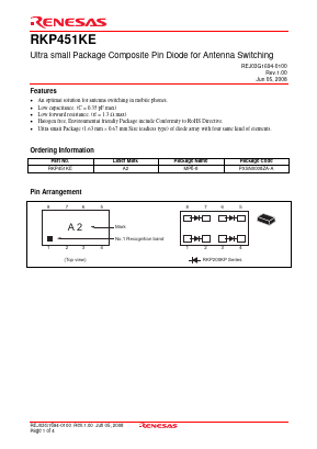 RKP451KE Datasheet PDF Renesas Electronics
