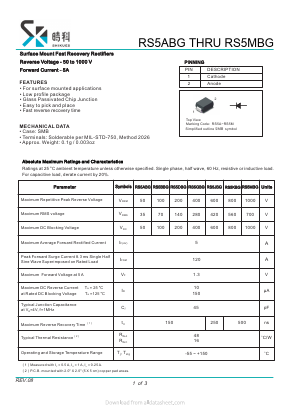 RS5ABG Datasheet PDF SHIKE Electronics