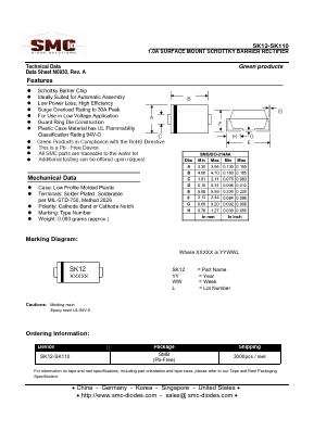 SK12 Datasheet PDF Sangdest Microelectronic (Nanjing) Co., Ltd