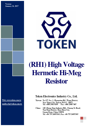 RH1100TK Datasheet PDF Token Electronics Industry Co., Ltd.